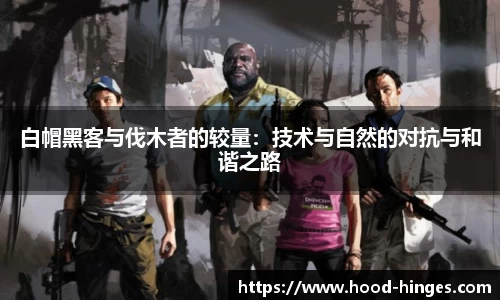 南宫NG28