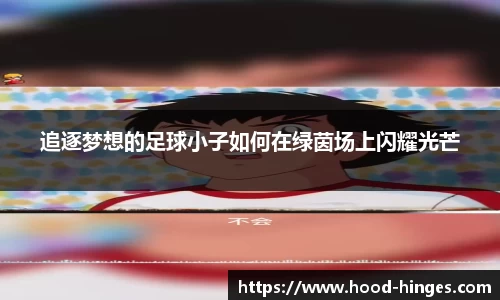 追逐梦想的足球小子如何在绿茵场上闪耀光芒