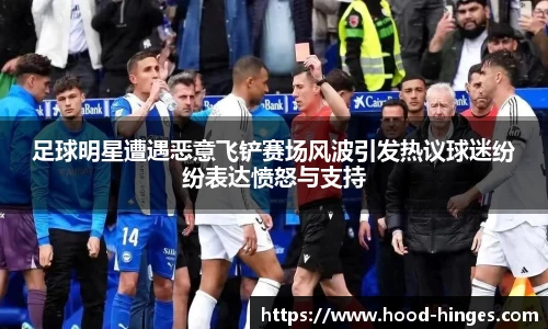 足球明星遭遇恶意飞铲赛场风波引发热议球迷纷纷表达愤怒与支持